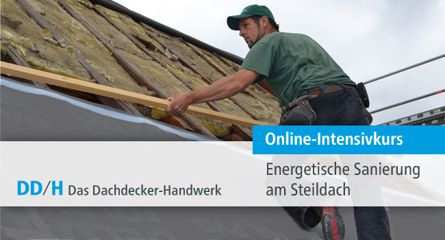 Course Image Energetische Sanierung am Steildach